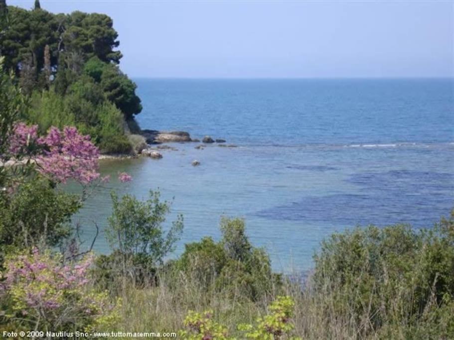 Sweet Liana Un Tuffo Nel Cuore Del Paese Porto Santo Stefano  Bagian luar foto